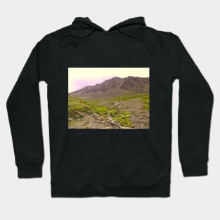 A mossy mountain stream Hoodie